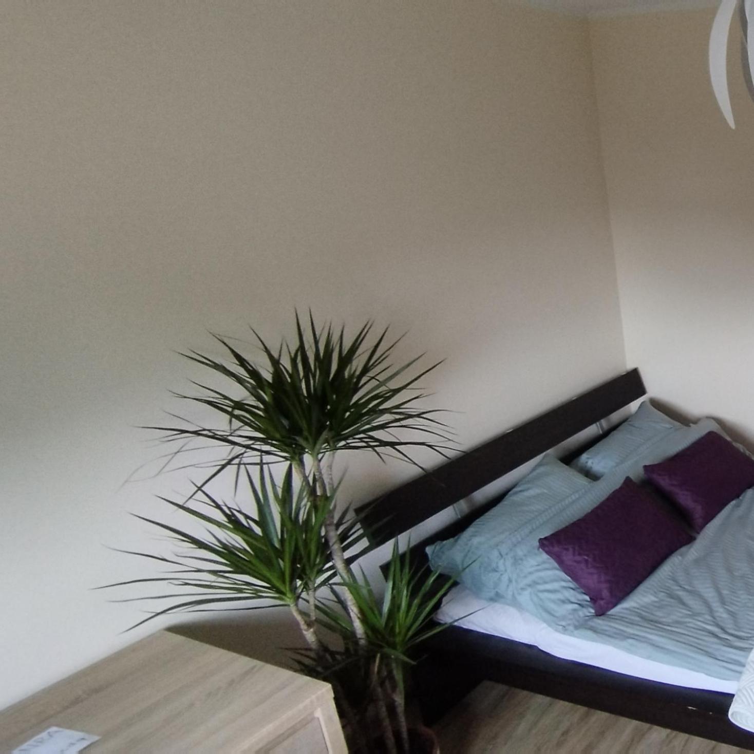 Apartament A8 Orłowo Gdynia Zewnętrze zdjęcie